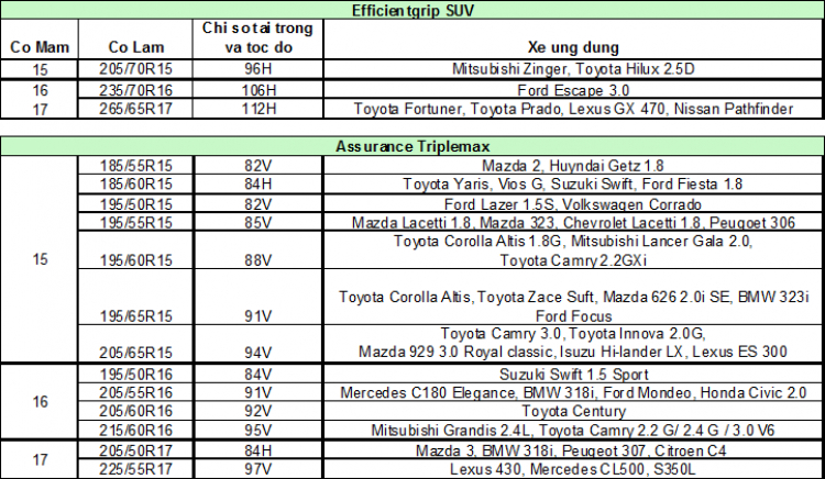 Hành trình Hyundai - SFC vô địch toàn năng Mừng Sinh Nhật OS lần thứ 11