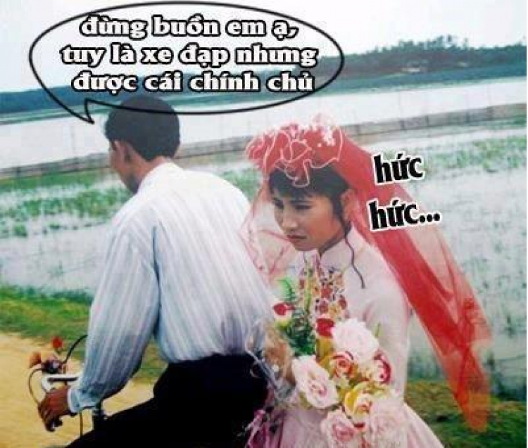 [MSFC] Họp mặt - Tán gẫu - Múc xúc