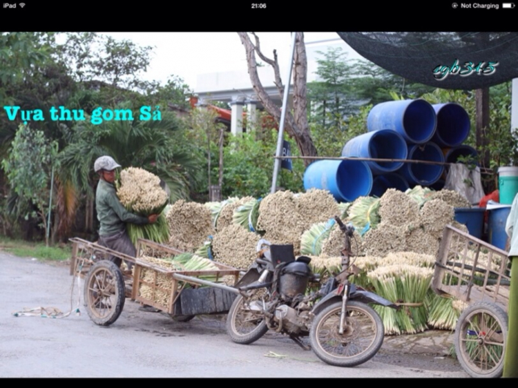 Chạy Honda, vượt qua 12 cửa sông Cửu Long bằng đò ngang, 1 mình, 2 ngày Chạy Honda, vượt qua 12 cửa sông Cửu Long bằng đò ngang, 1 mình, 2 ngày