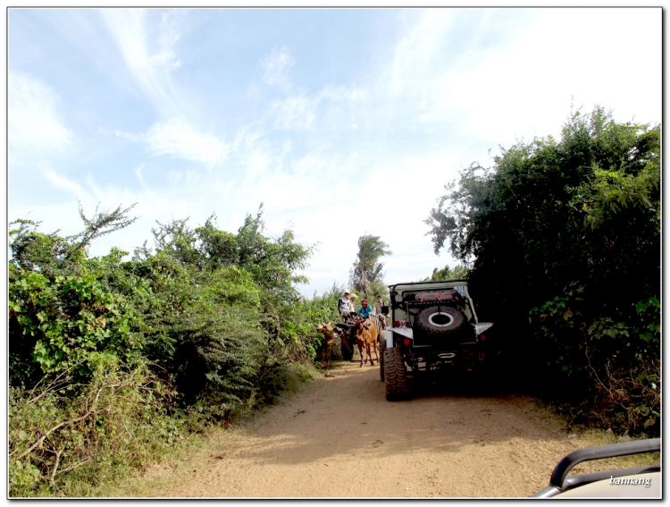 Hình ảnh anh em offroad đón chào năm mới tại đỉnh Tannobi - Phan Thiết