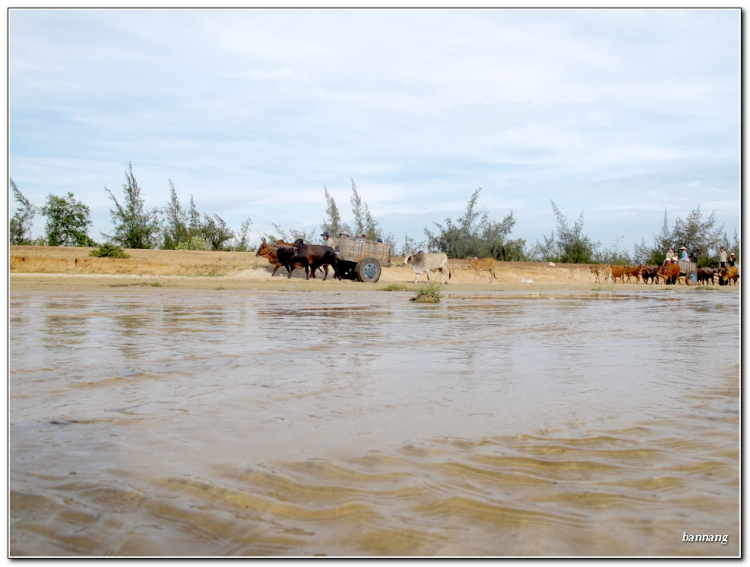 Hình ảnh anh em offroad đón chào năm mới tại đỉnh Tannobi - Phan Thiết