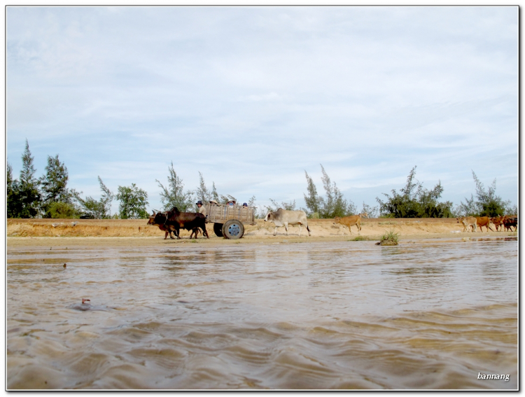 Hình ảnh anh em offroad đón chào năm mới tại đỉnh Tannobi - Phan Thiết