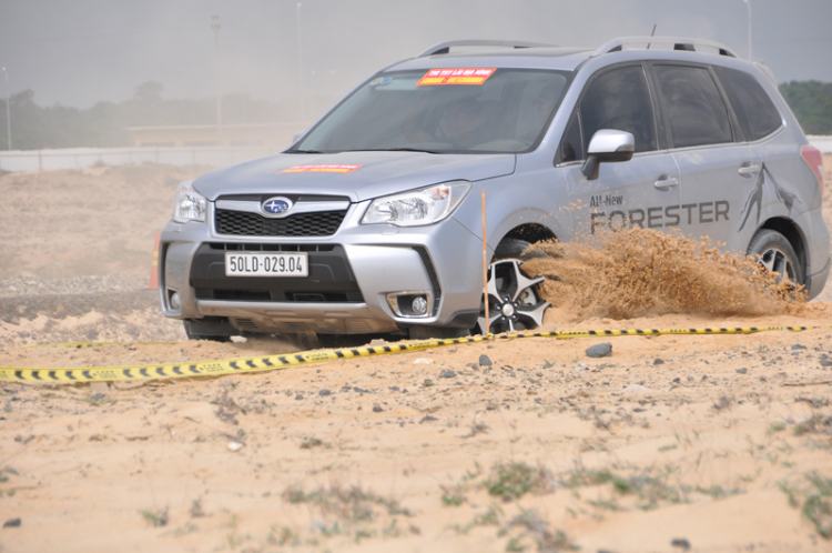 2014 Subaru Forester một mình chống mafia