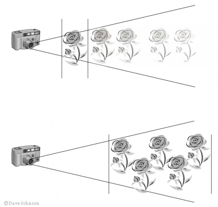 Full Frame vs. Crop Factor và các cỡ sensor khác