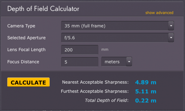 Full Frame vs. Crop Factor và các cỡ sensor khác