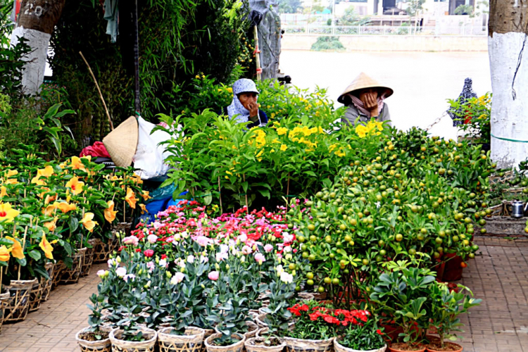 Thong dong một góc đời thường.