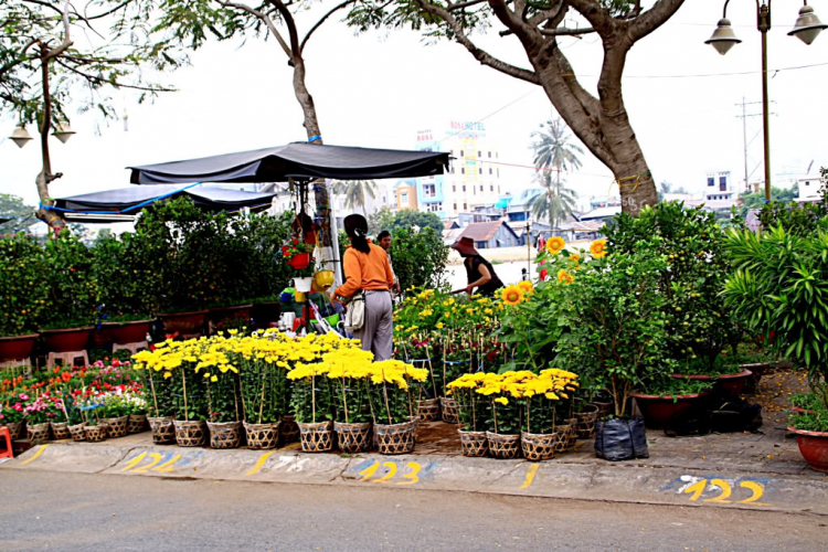 Thong dong một góc đời thường.