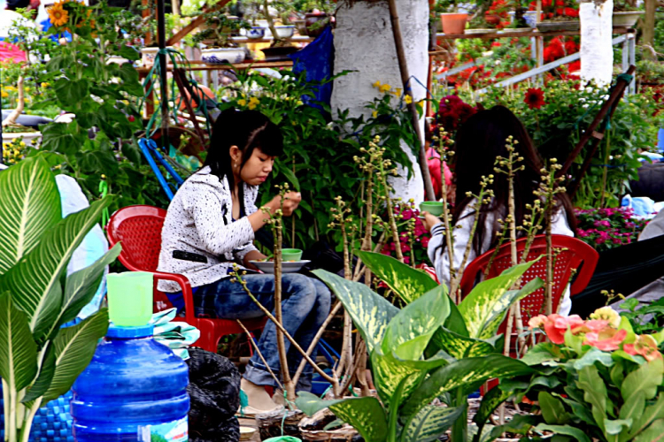 Thong dong một góc đời thường.