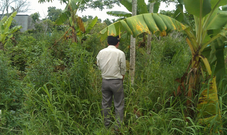 BIÊN HÒA - HỌP MẶT GIAO LƯU