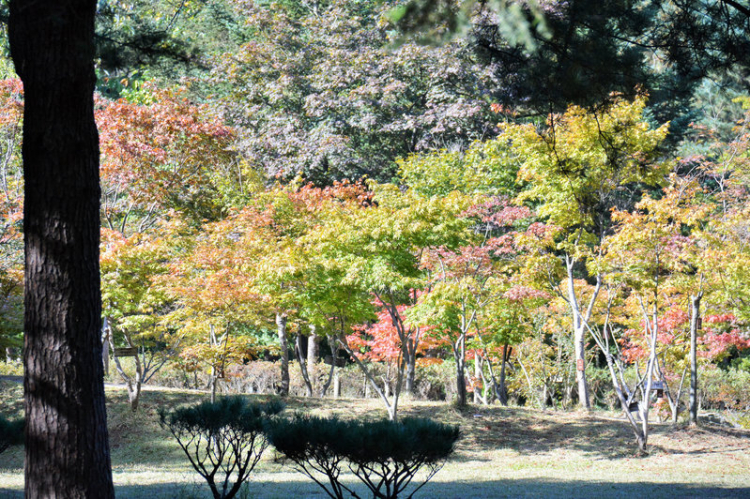 Em đi công viên Nhật Bổn - Tùng Sơn Thạch Hoa Viên - Rin Rin Park