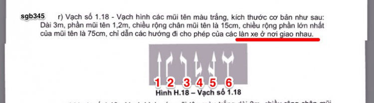 Cầu vượt trạm 2 hướng về Suối Tiên, em gặp lại cố nhân