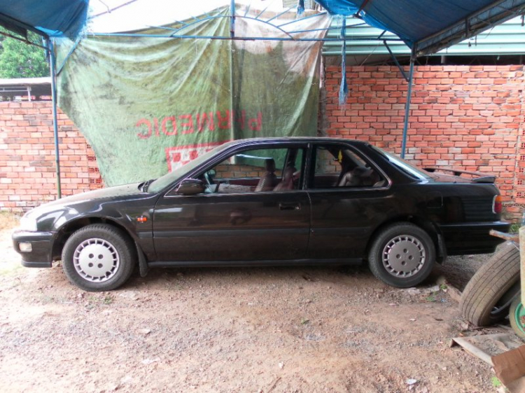 ACCORD CLUB : Bộ sưu tập ACCORDS 90-97 & Acura Legend 91- 95 !