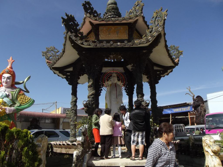 Tết Giáp Ngọ 2014 – Du Xuân Phố Núi! Tết Giáp Ngọ 2014 – Du Xuân Phố Núi!