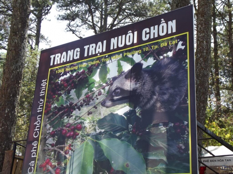 Tết Giáp Ngọ 2014 – Du Xuân Phố Núi!