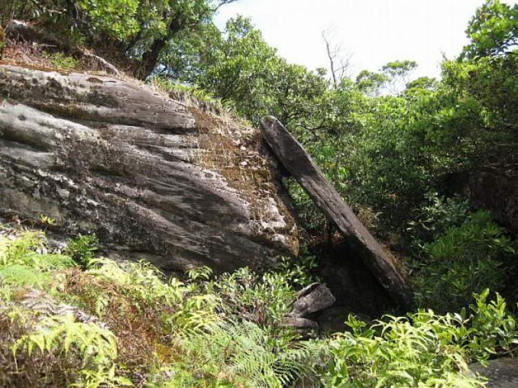 Đầu Năm : Khám phá thành phố cổ Kampot - KamPuChia