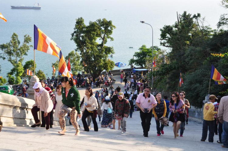 Một vòng Tết với lamnguyen_ttt & leviet45. Một vòng Tết với lamnguyen_ttt & leviet45.