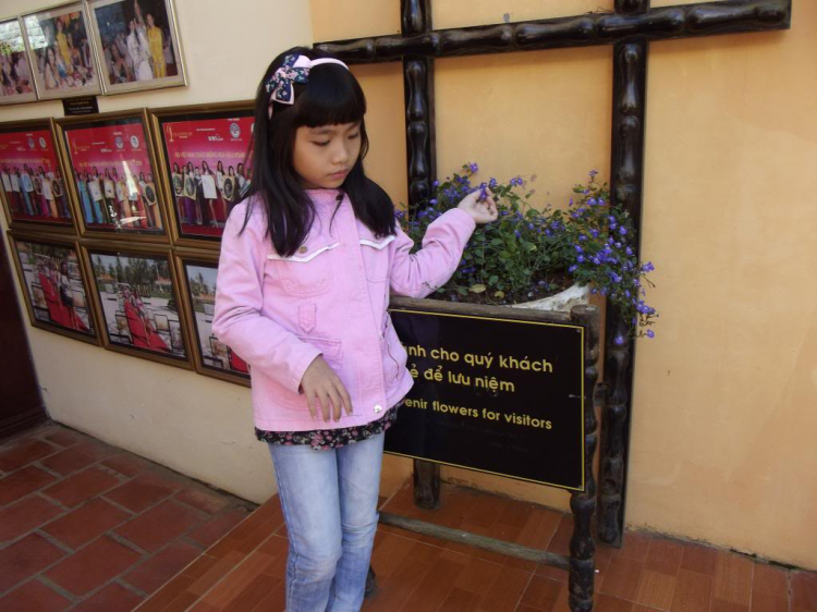 Tết Giáp Ngọ 2014 – Du Xuân Phố Núi! Tết Giáp Ngọ 2014 – Du Xuân Phố Núi!