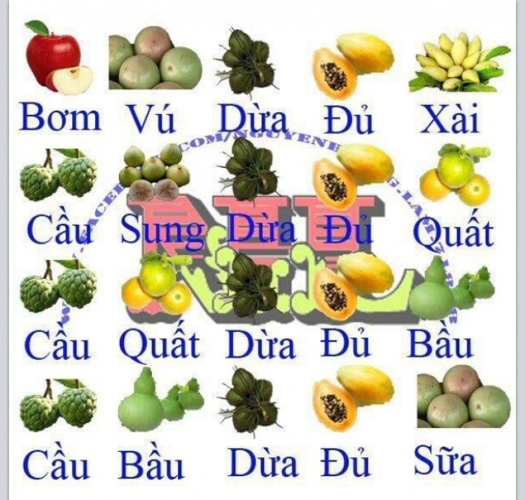 NƠI TỤ TẬP ĂN CHƠI VÀ ĐÓN CHÀO THÀNH VIÊN MỚI CỦA AE SORENTO ! NƠI TỤ TẬP ĂN CHƠI VÀ ĐÓN CHÀO THÀNH VIÊN MỚI CỦA AE SORENTO !