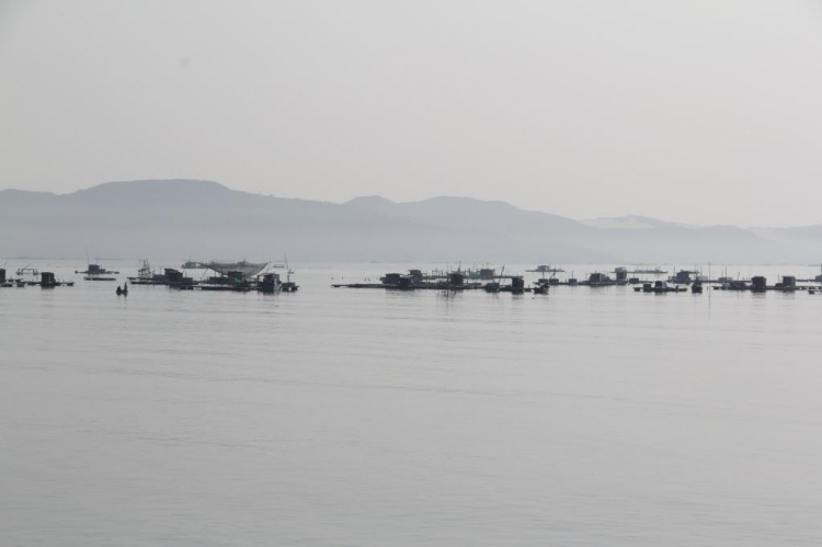 Hành trình xuyên Việt SG-HN-SG tết 2014