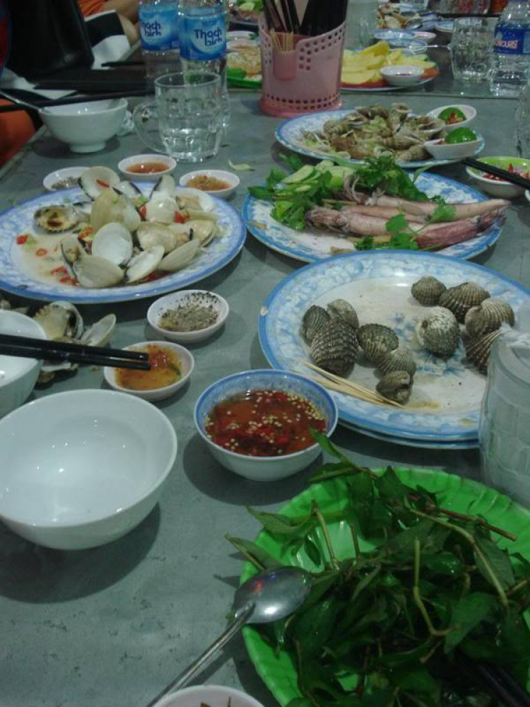 Hành trình xuyên Việt SG-HN-SG tết 2014