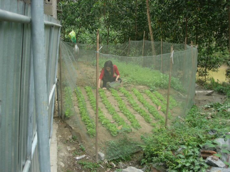 Hành trình xuyên Việt SG-HN-SG tết 2014