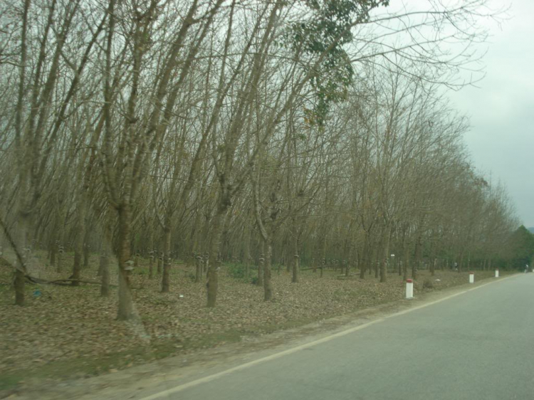 Hành trình xuyên Việt SG-HN-SG tết 2014