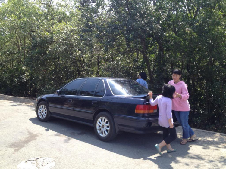 ACCORD CLUB - Em gái Cà Mau - Hoàn thiện ACCORD CLUB - Em gái Cà Mau - Hoàn thiện