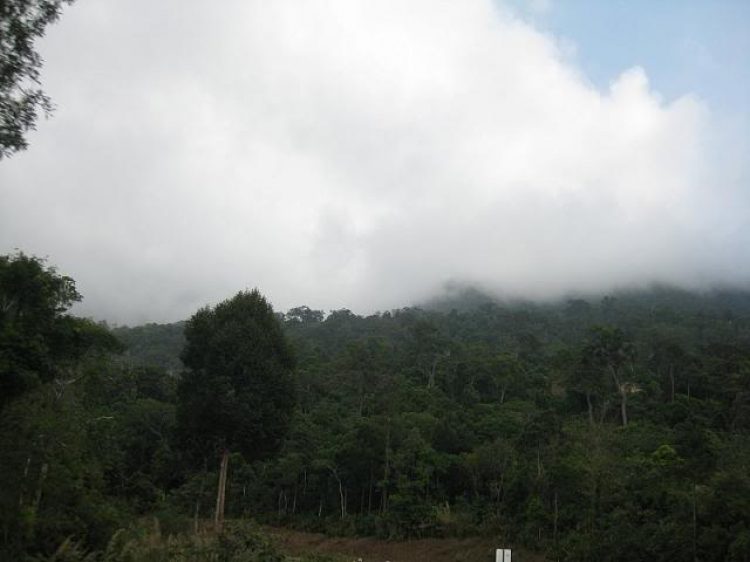 Đầu Năm : Khám phá thành phố cổ Kampot - KamPuChia