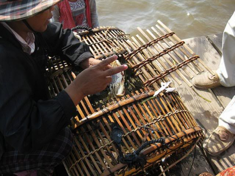 Đầu Năm : Khám phá thành phố cổ Kampot - KamPuChia