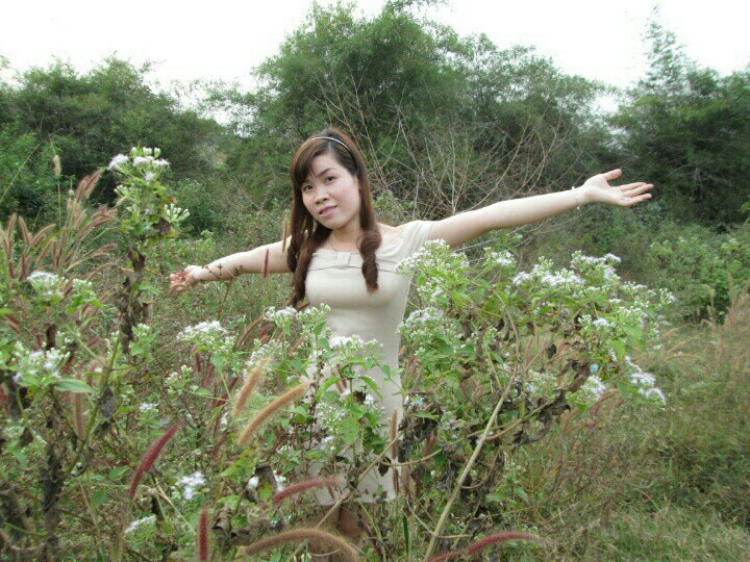 Offline chụp hình CAO SU MÙA THAY LÁ chủ nhật 19-1-2014 (Hình ảnh từ Trang 4) Offline chụp hình CAO SU MÙA THAY LÁ chủ nhật 19-1-2014 (Hình ảnh từ Trang 4)