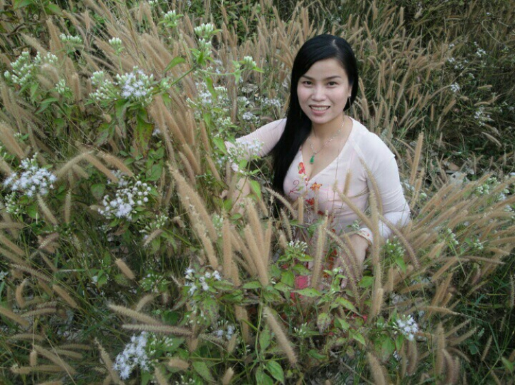 Offline chụp hình CAO SU MÙA THAY LÁ chủ nhật 19-1-2014 (Hình ảnh từ Trang 4) Offline chụp hình CAO SU MÙA THAY LÁ chủ nhật 19-1-2014 (Hình ảnh từ Trang 4)