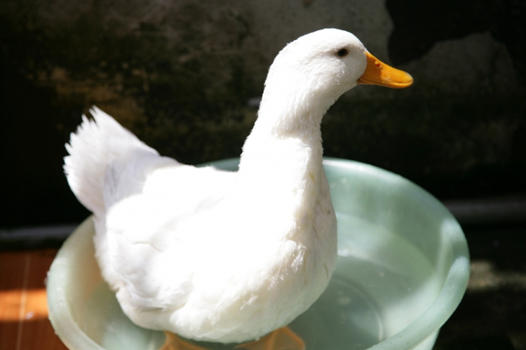 Phọt ảnh đi các bác :) Phọt ảnh đi các bác :)