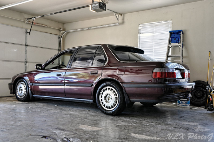 ACCORD CLUB : Bộ sưu tập ACCORDS 90-97 & Acura Legend 91- 95 !