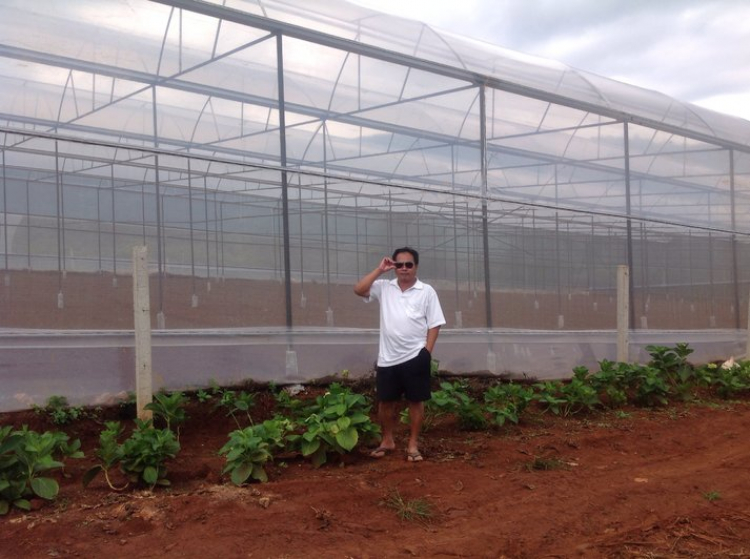 Hợp tác mở trang trại trồng hoa ở dalat Hợp tác mở trang trại trồng hoa ở dalat
