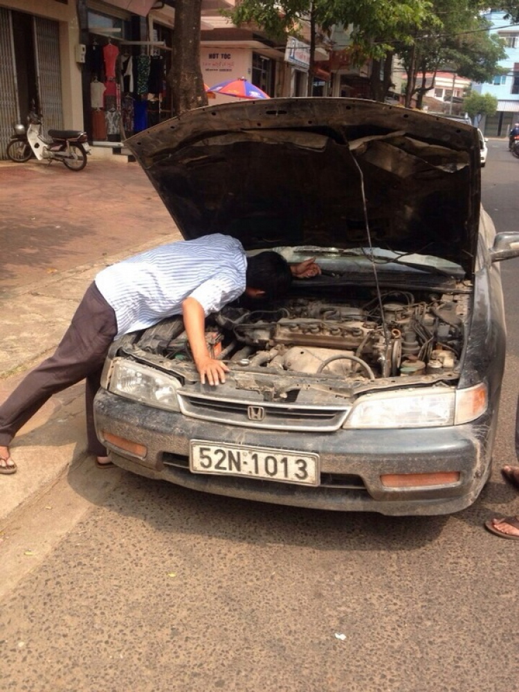 ACCORD CLUB : Lọ Lem ... ACCORD CLUB : Lọ Lem ...