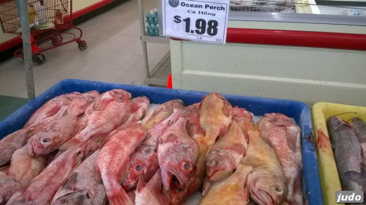 Người Việt ở Cali .....