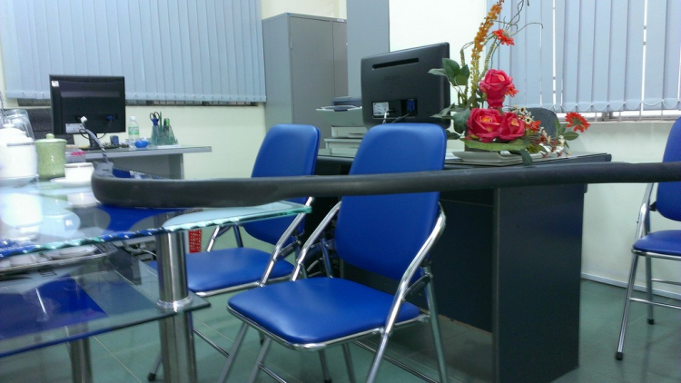 CỌP GIÀ VỀ NÚI CỌP GIÀ VỀ NÚI