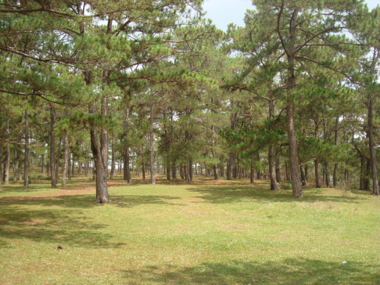 Du ngoạn trên biển bằng xuồng phao bơm hơi. Du ngoạn trên biển bằng xuồng phao bơm hơi.