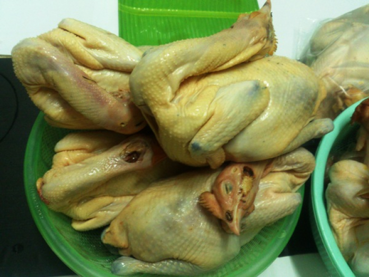BIÊN HÒA - HỌP MẶT GIAO LƯU BIÊN HÒA - HỌP MẶT GIAO LƯU