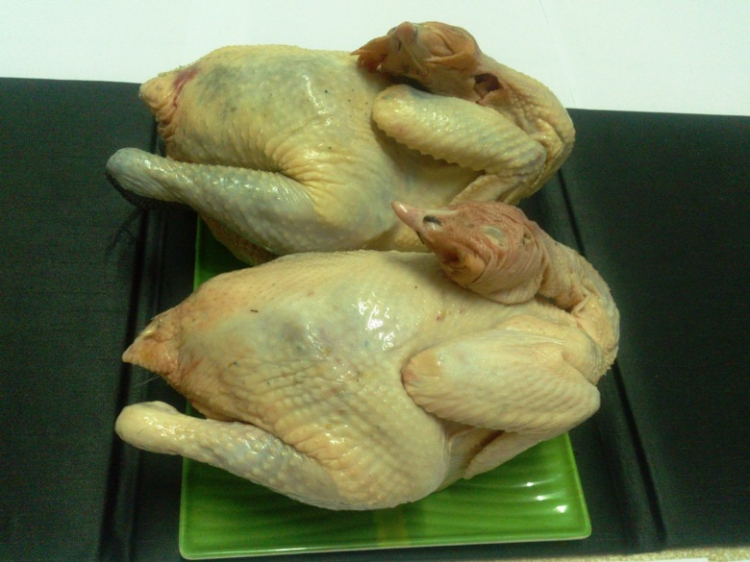 BIÊN HÒA - HỌP MẶT GIAO LƯU BIÊN HÒA - HỌP MẶT GIAO LƯU