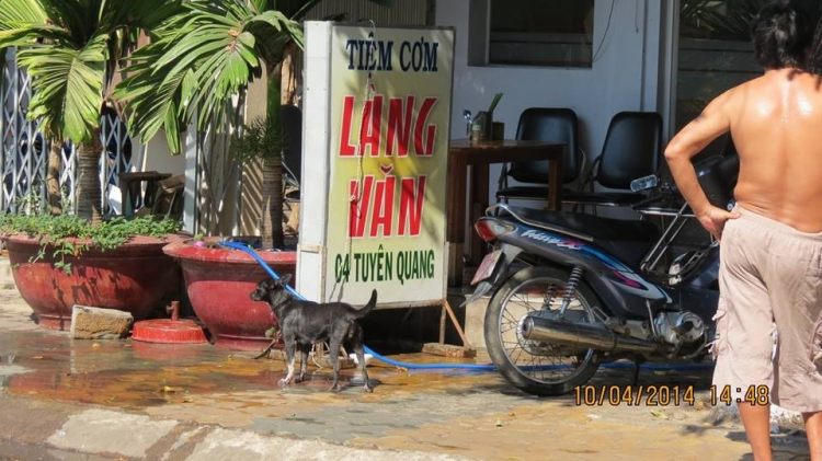 Tư vấn hộ em ẩm thực ở Phan Thiết-Mũi Né ạ