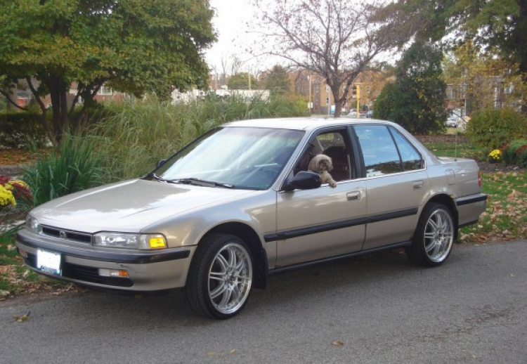 ACCORD CLUB : Bộ sưu tập ACCORDS 90-97 & Acura Legend 91- 95 !