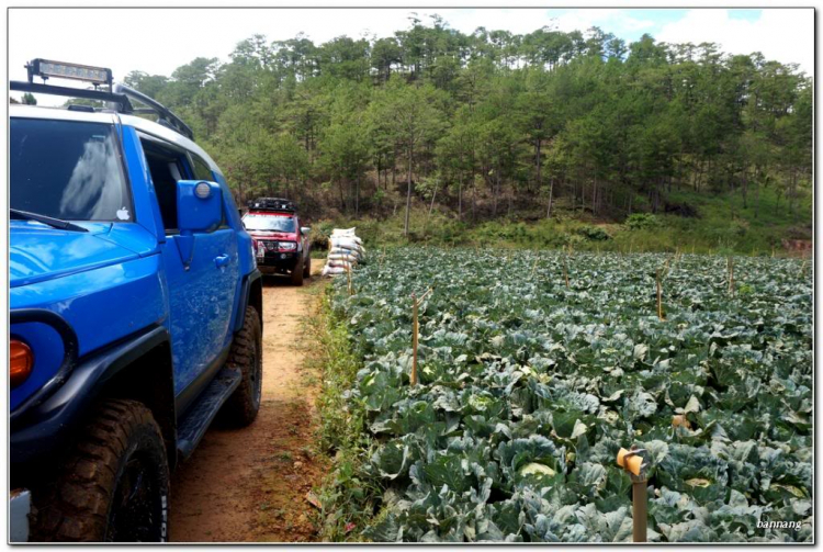 Ngày lễ của anh em 4x4