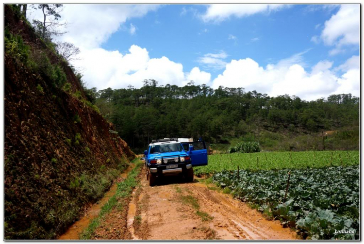 Ngày lễ của anh em 4x4