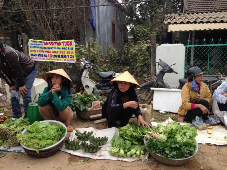 Du xuân Tây bắc.