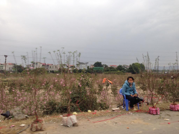 Du xuân Tây bắc. Du xuân Tây bắc.