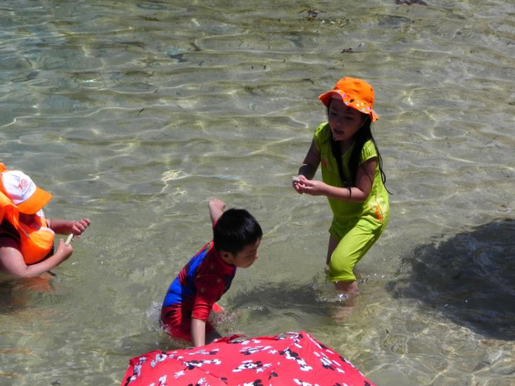 CHÀO HÈ 2014 – QUỐC TẾ THIẾU NHI 1.6 KHÁM PHÁ VƯỜN QUỐC GIA NÚI CHÚA HANG RÁI HOANG SƠ (ảnh P.9) CHÀO HÈ 2014 – QUỐC TẾ THIẾU NHI 1.6 KHÁM PHÁ VƯỜN QUỐC GIA NÚI CHÚA HANG RÁI HOANG SƠ (ảnh P.9)