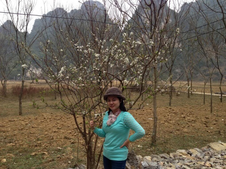 Du xuân Tây bắc. Du xuân Tây bắc.