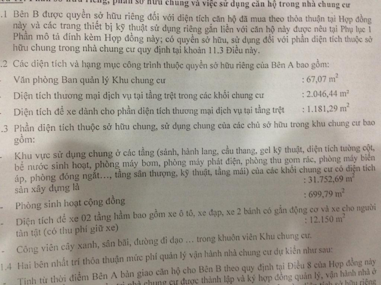 Oser tại Hoàng Anh Thanh Bình