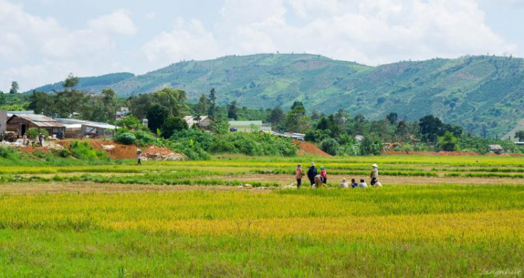 Cung đường đèo Gia Bắc (Di Linh - Phan Thiết)